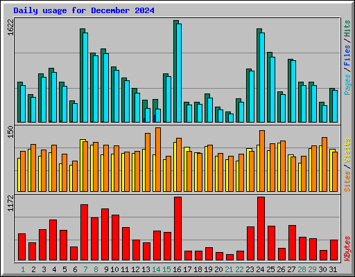 Daily usage for December 2024
