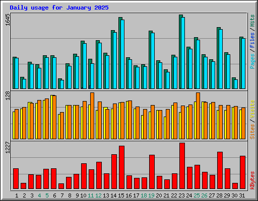 Daily usage for January 2025