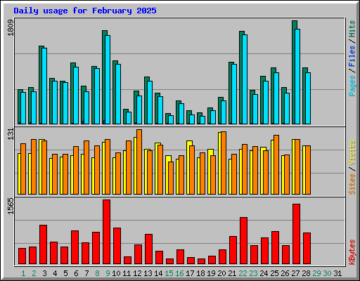 Daily usage for February 2025