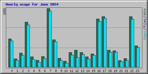 Hourly usage for June 2024