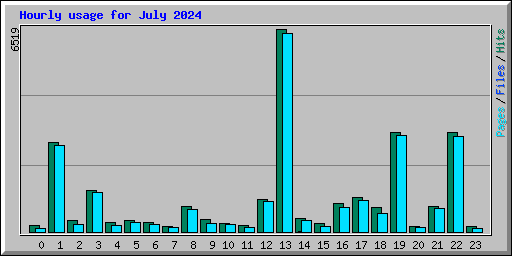 Hourly usage for July 2024