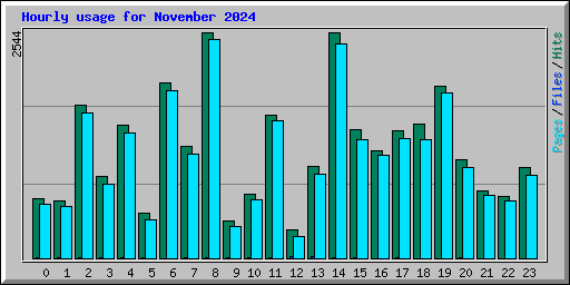 Hourly usage for November 2024
