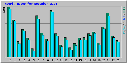 Hourly usage for December 2024