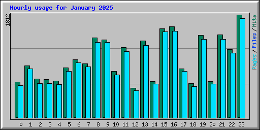 Hourly usage for January 2025
