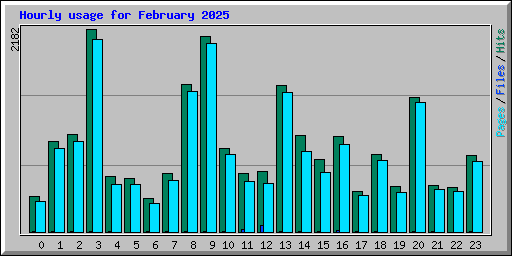 Hourly usage for February 2025
