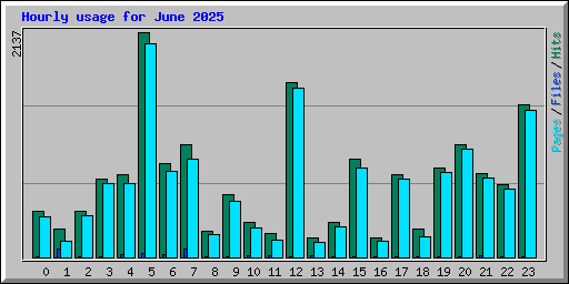 Hourly usage for June 2025